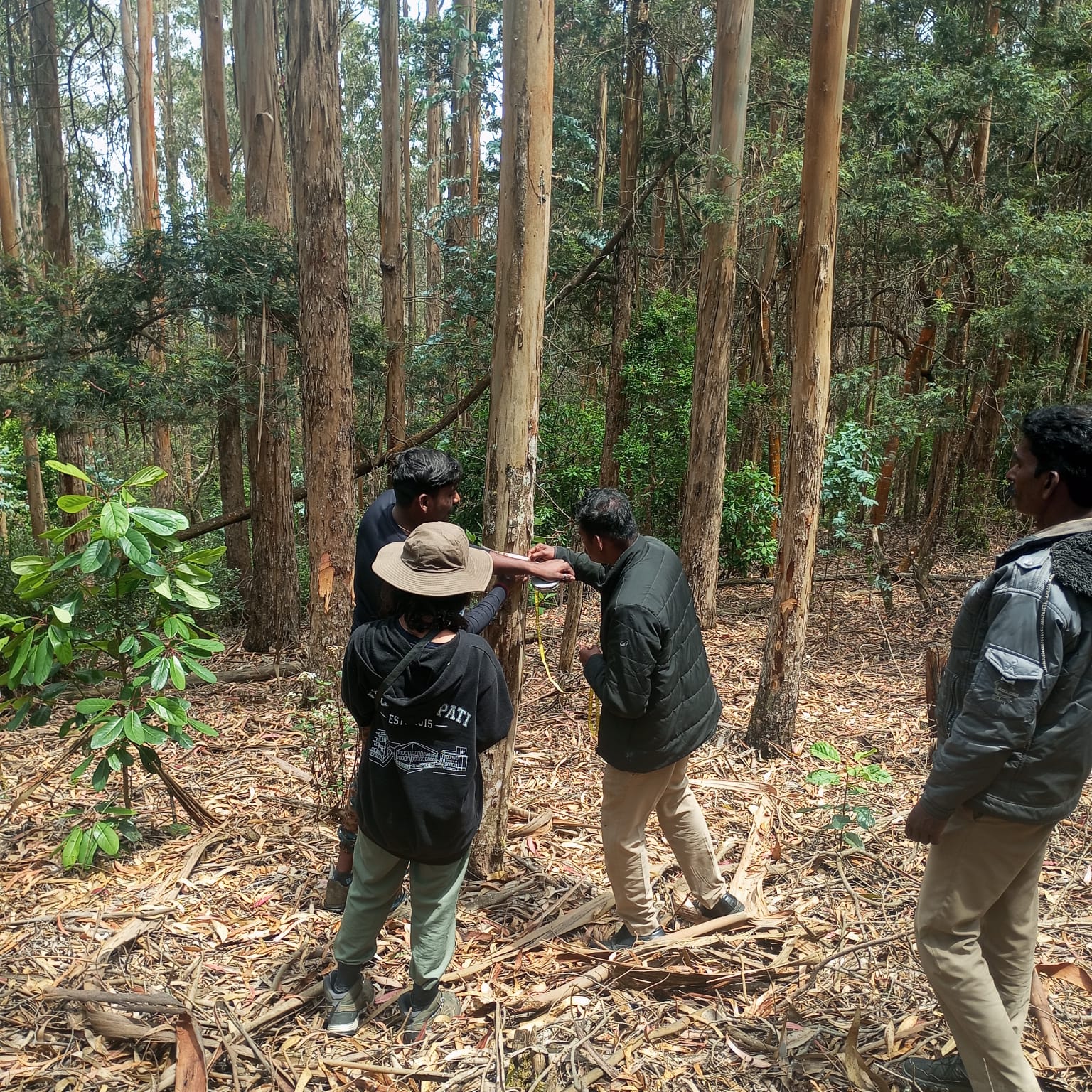 Forest Department