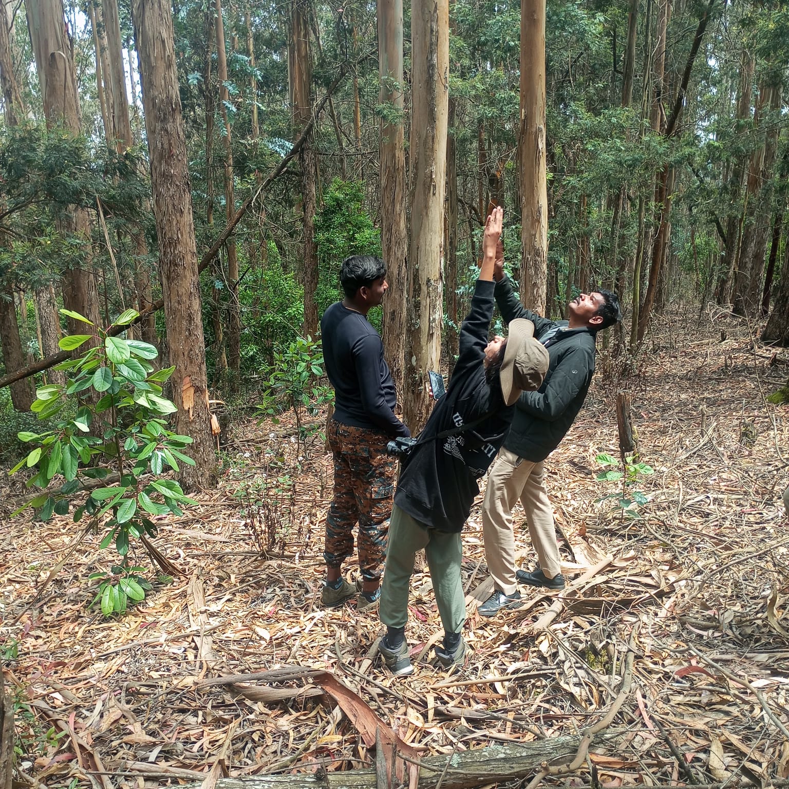 Field Work