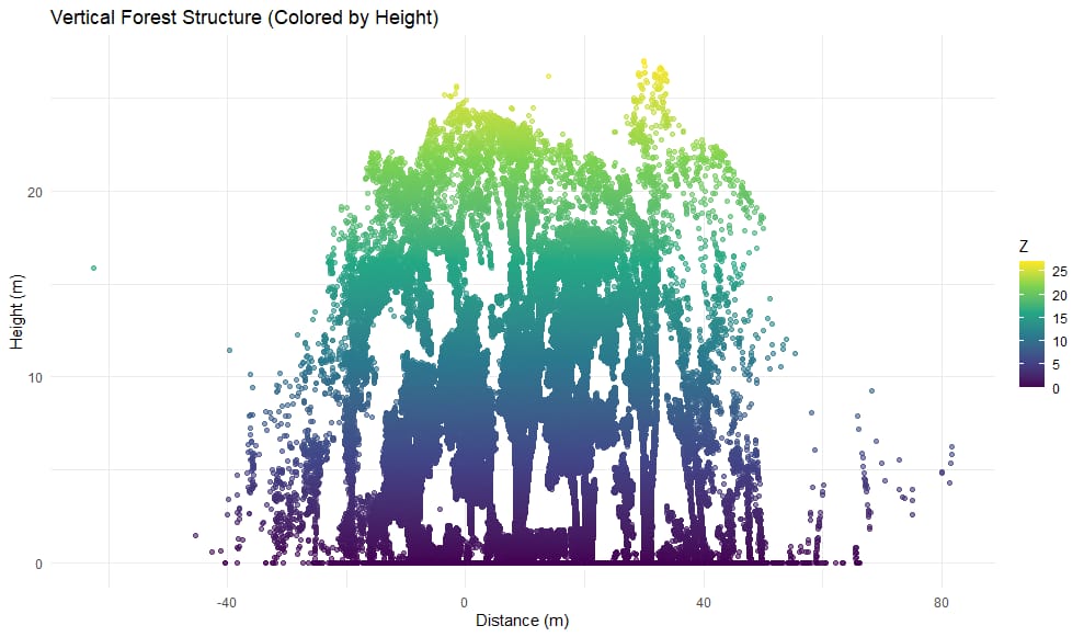 Forest Structure