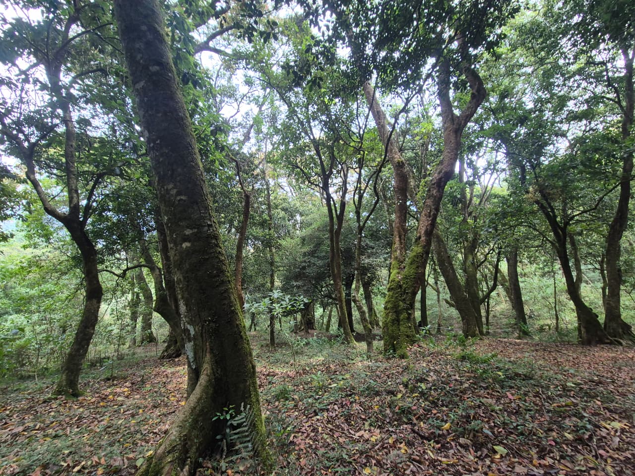 Habitat